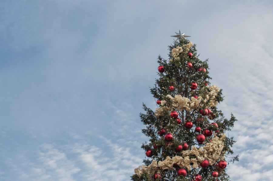 Photograph of a Christmas tree set out in front of the sky.