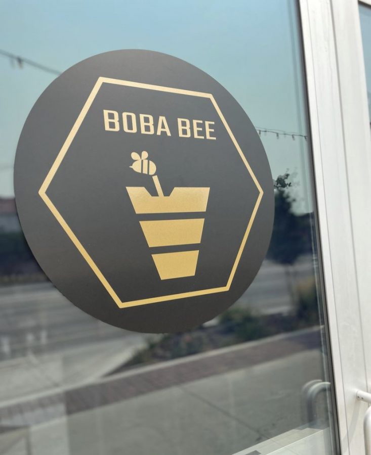 Did Boba Bee hit it out of the park or did it fall short of expectations?